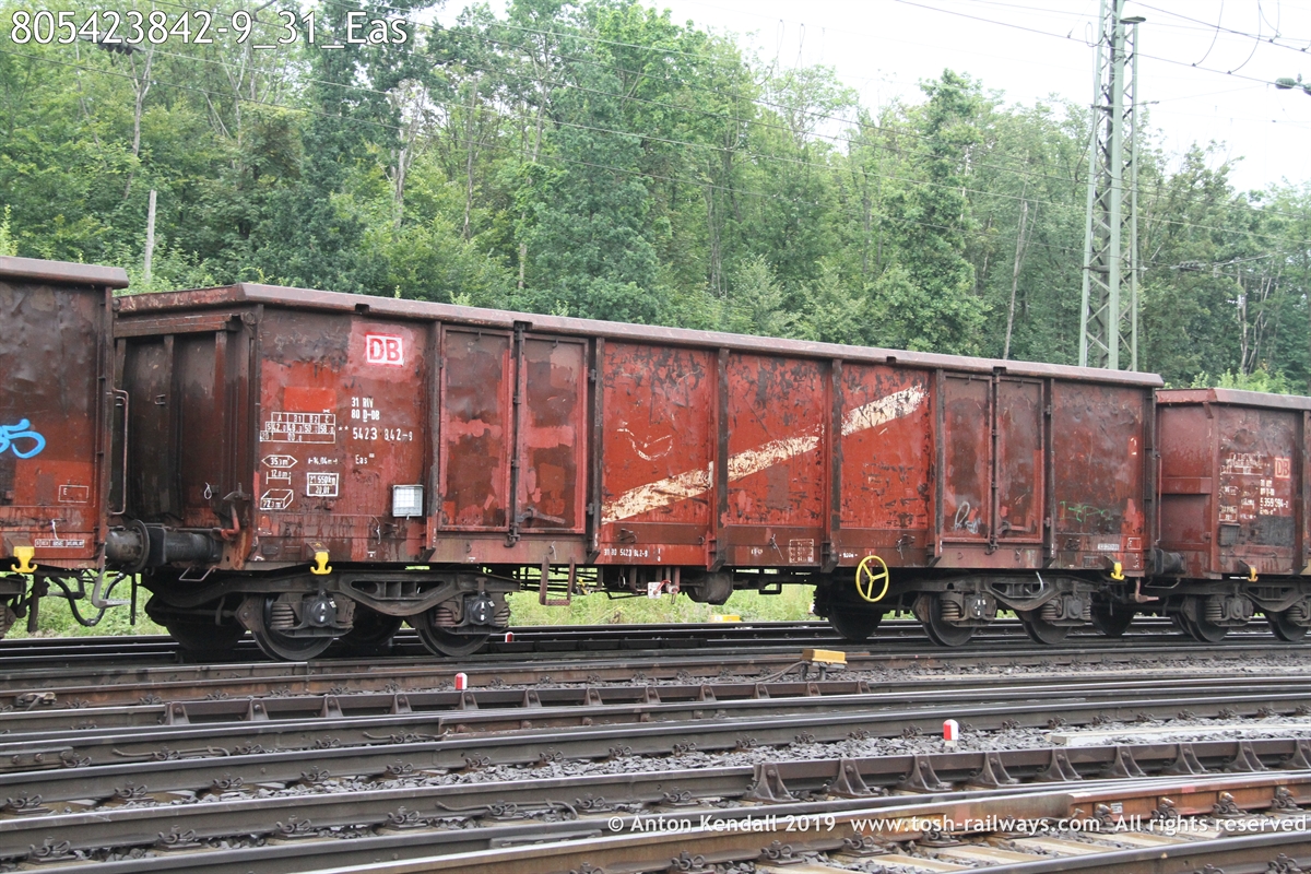805423842-9_31_Eas.JPG